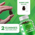 Vitamatic سي موس البحري بنكهة الجومي النباتي – 60 حبة Gummies نباتية
