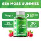 Vitamatic سي موس البحري بنكهة الجومي النباتي – 60 حبة Gummies نباتية