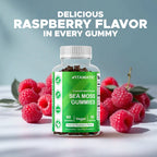 Vitamatic سي موس البحري بنكهة الجومي النباتي – 60 حبة Gummies نباتية